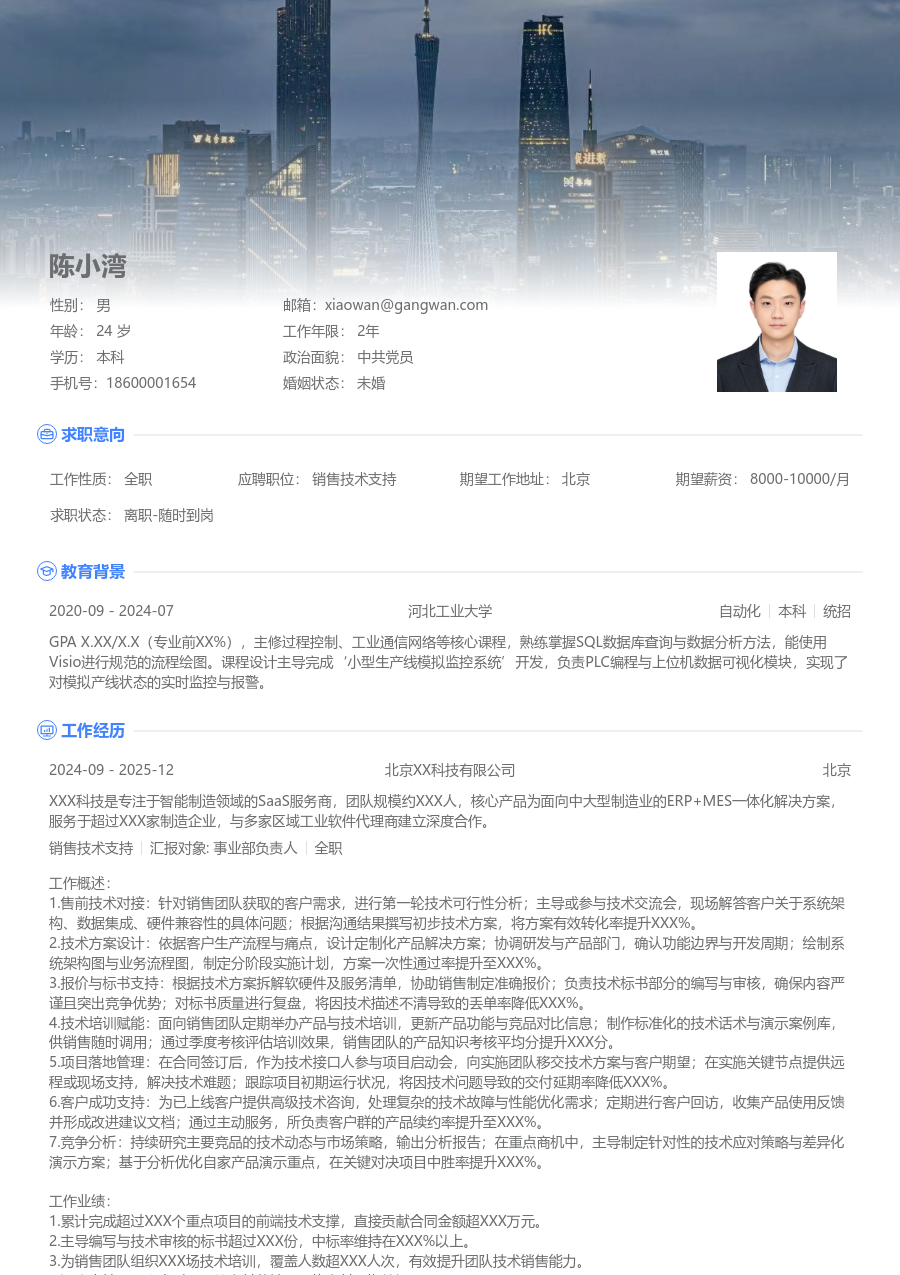 高级销售技术支持干练简历模板